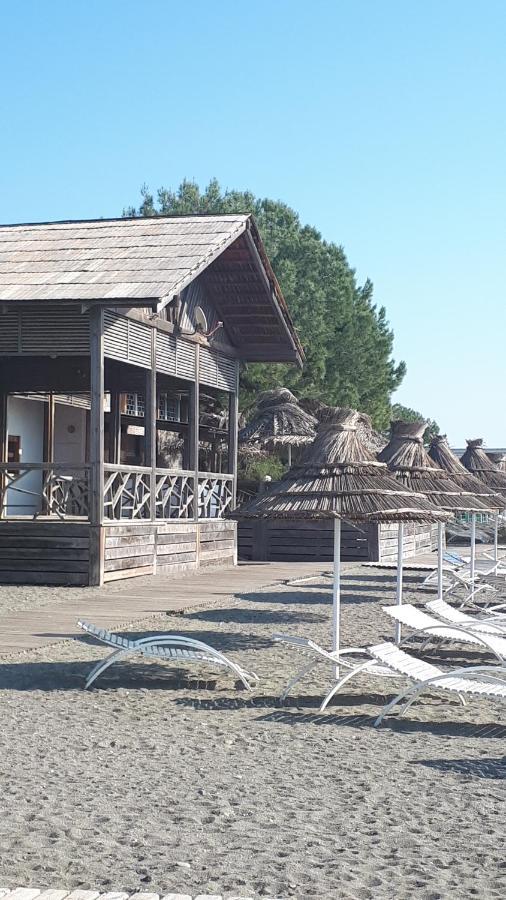 Домики У Лизы Под Ключ Pizunda Exterior photo